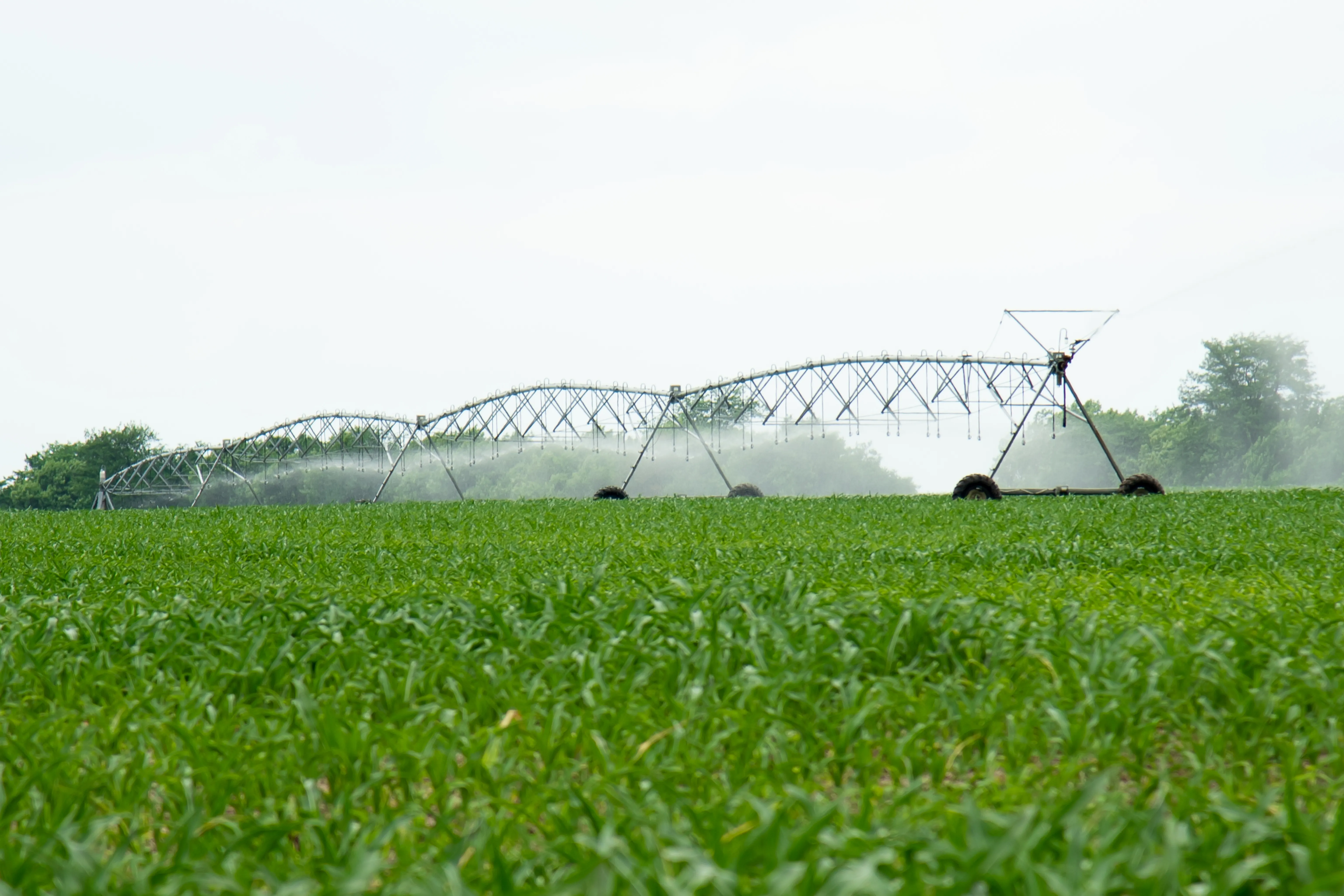 The Importance of Modern Irrigation Systems in Agriculture